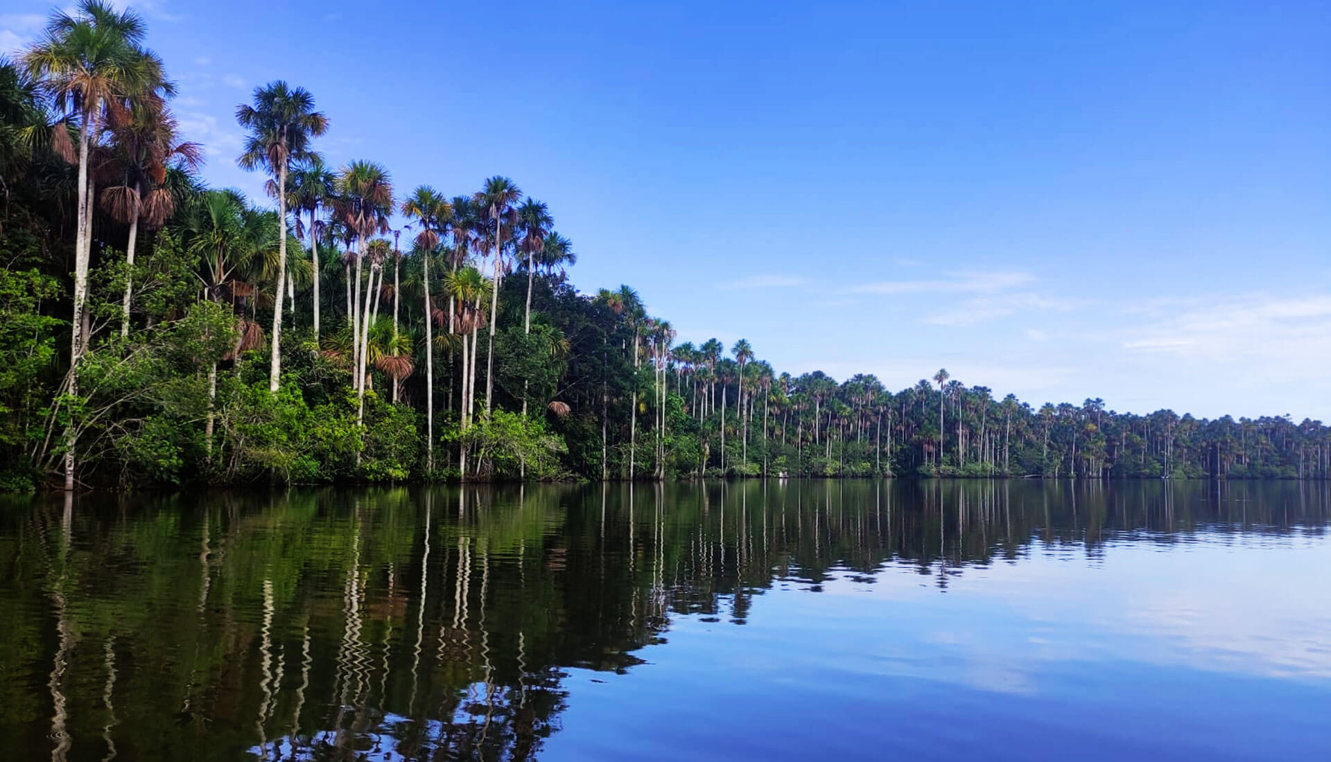 Tambopata