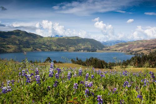 lagunas, pacucha