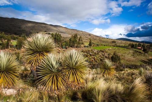 paisajes