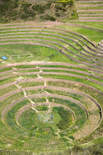 Moray