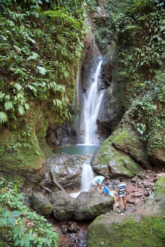 Cascada