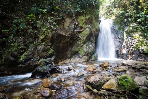 Cascadas