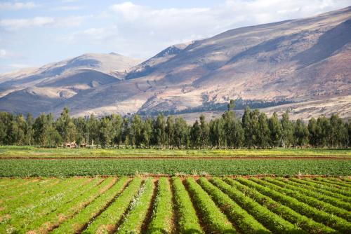 Valle del Mantaro