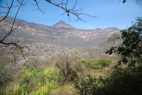 Chaparrí