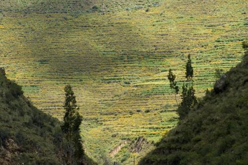 Paisajes
