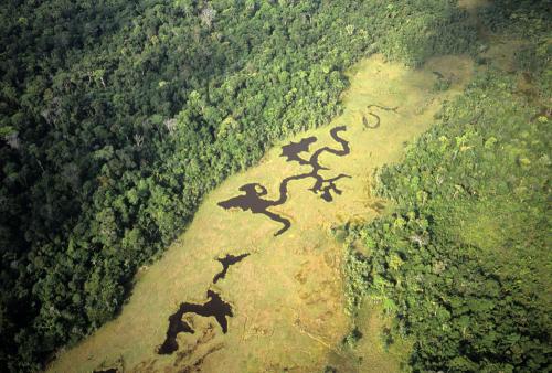Río Amazonas