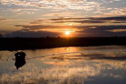 Río Amazonas