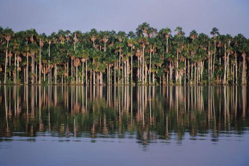 Lago Sandoval
