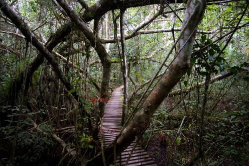 Paisajes