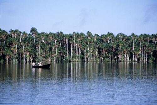 Lago Sandoval