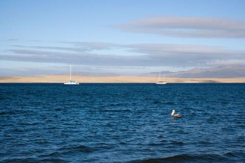 Paracas
