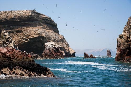 Paracas