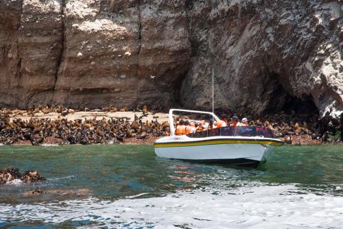 Paracas