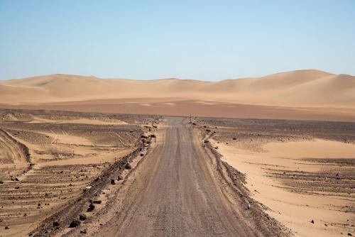 Paracas